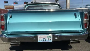 Buds 67 1 E1590088197171